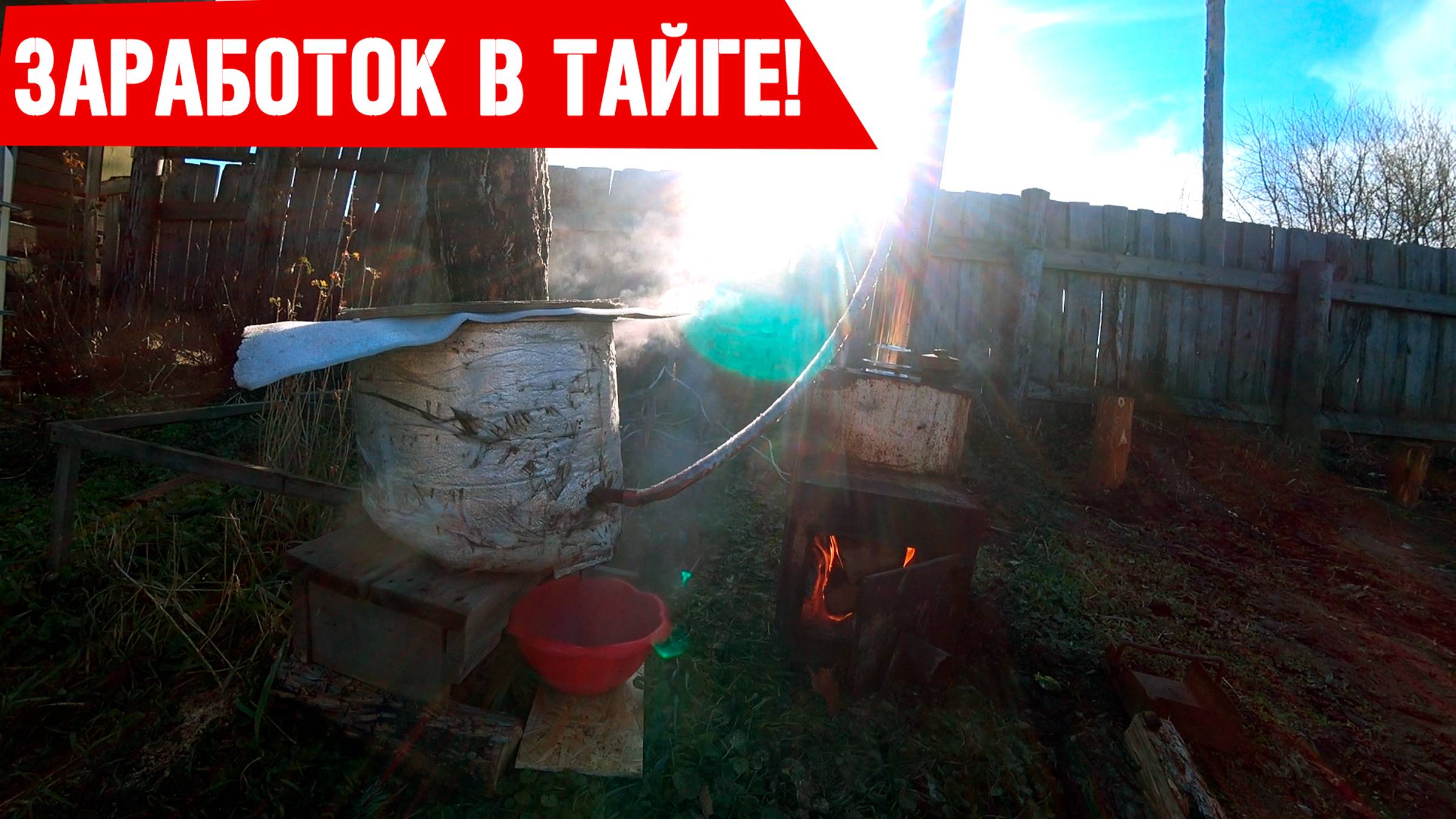 Собиратели дикороса в тайге! Тайга Кормилица