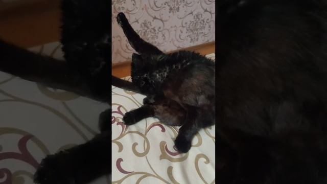 Накрыло дождем @oksanaNEWLIFE смотреть онлайн