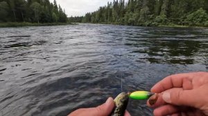 Рыболовное путешествие в Шведских горах. Хариус, щука, форель. Походы по горным(часть 3)