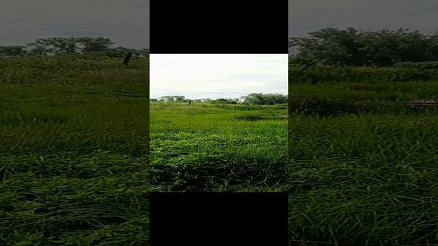 на рыбалке 🤔