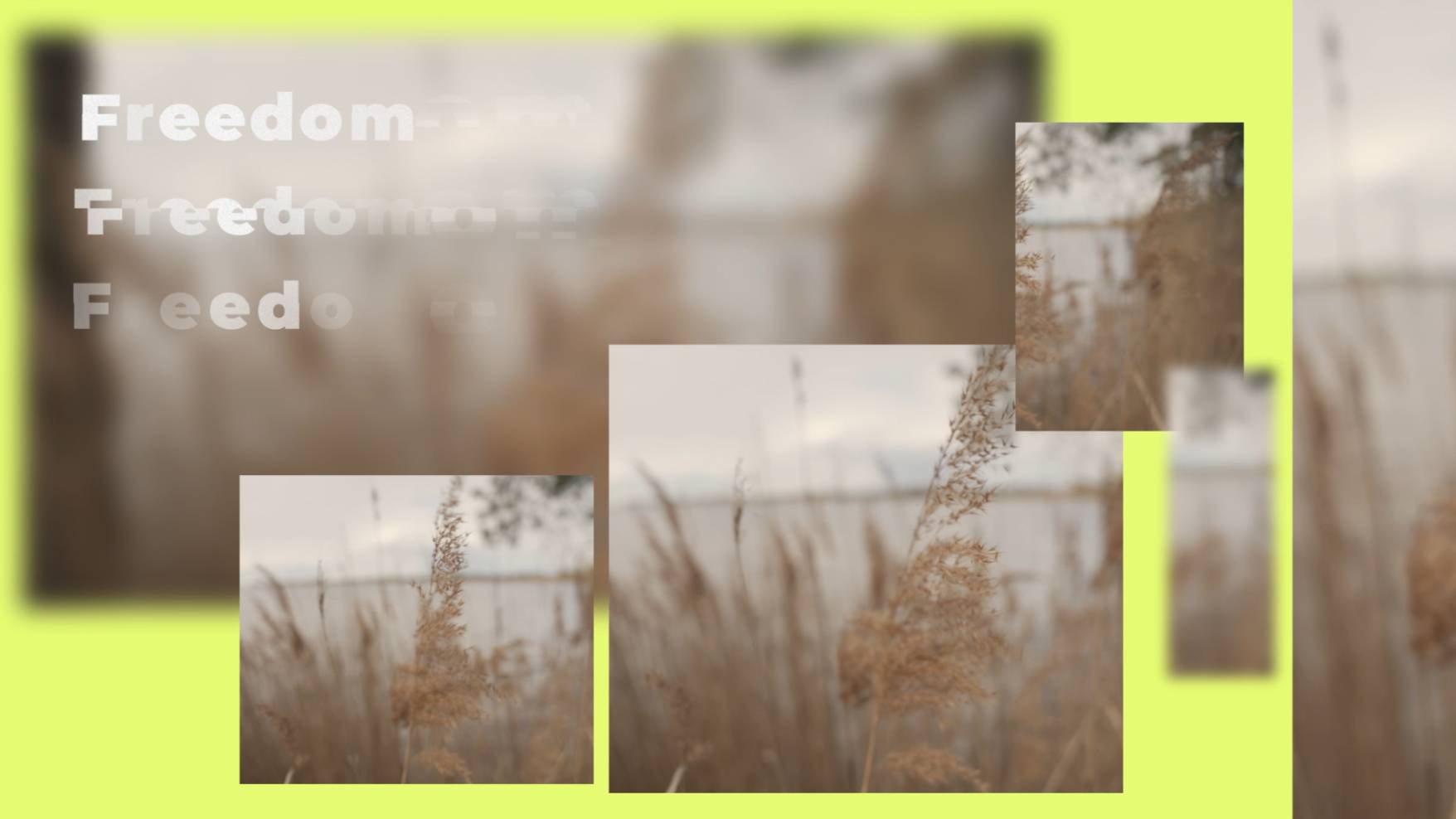 Видео монтаж с моушн графикой