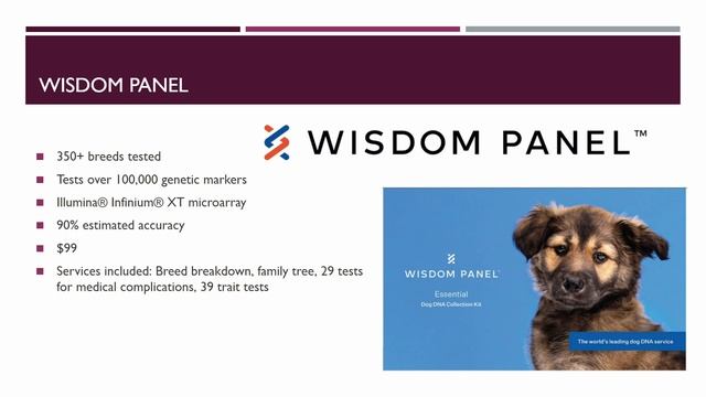 At-Home Dog DNA Testing смотреть онлайн