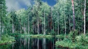 «Природа и музыка. Звучащие картины».