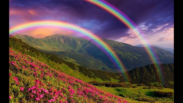 Broke-For-Free-Something-Elated смотреть онлайн