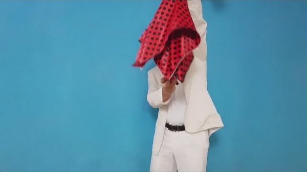 Multicolored bouquet flowers,set