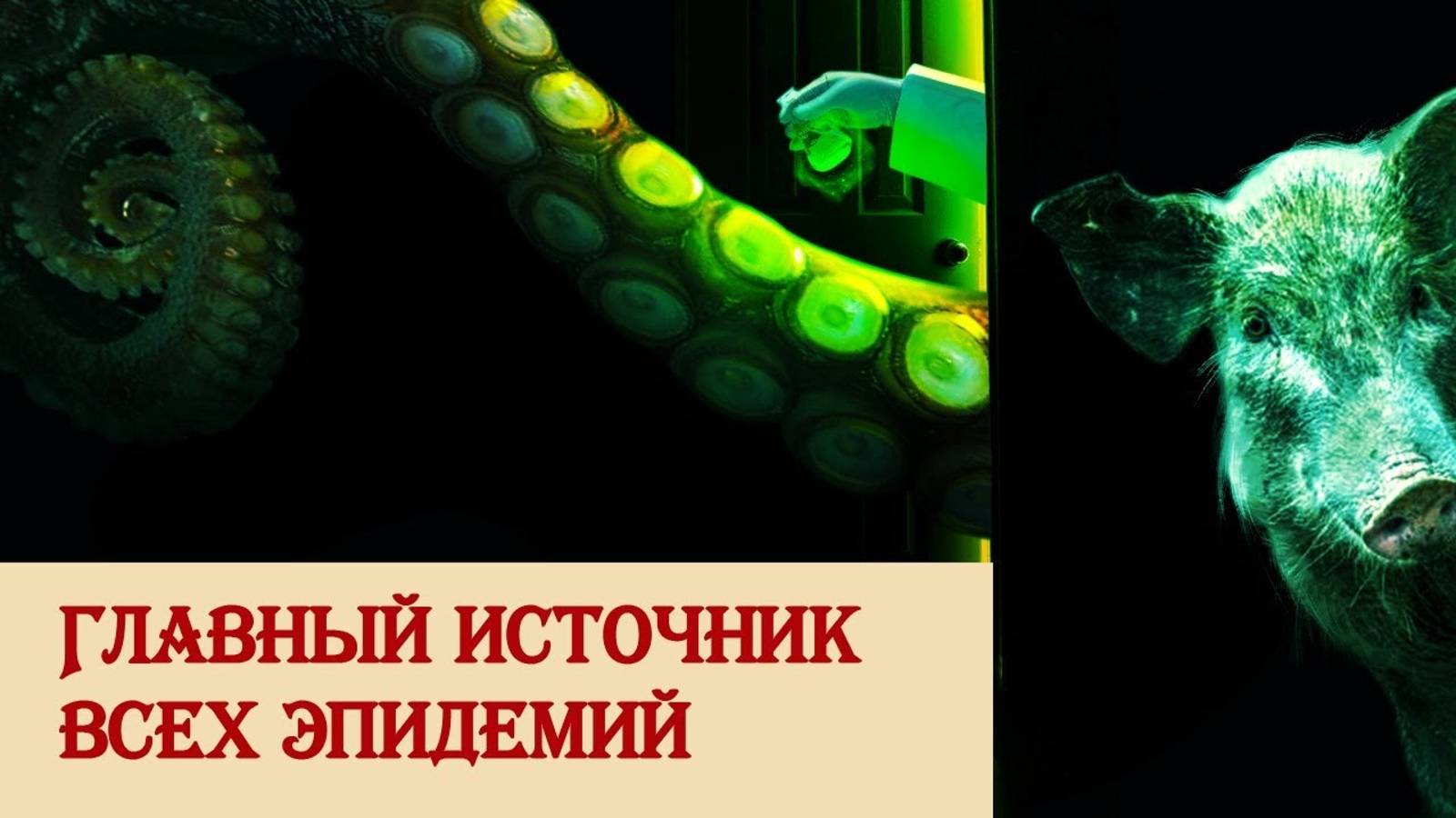 Главный источник всех эпидемий смотреть онлайн