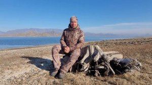 Видео отзыв, охота на козерога.