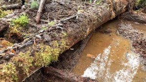 КОП ПО ВОЙНЕ! ХАБАР ИЗ ПАЛАТКИ!