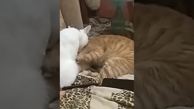 19 октября 2023 г.