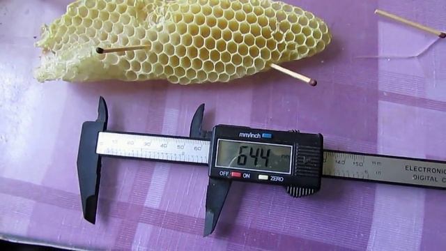 пчеловодство на ячейке 4,9 мм - часть 57, строят языки с трутневой ячейкой, размер ячейки 6,44 мм смотреть онлайн