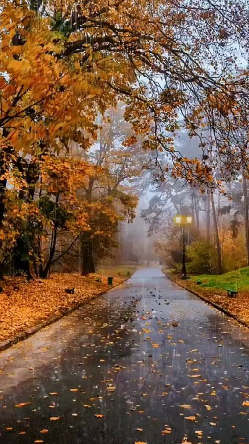 С возрастом ... смотреть онлайн