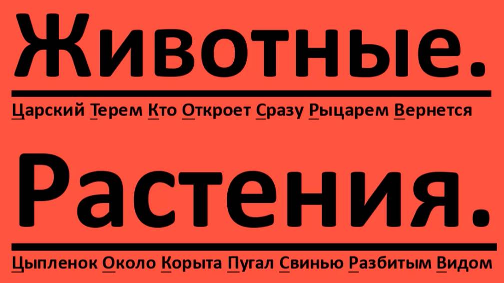 Разбор задания 3. Основные систематические категории. ОГЭ по биологии