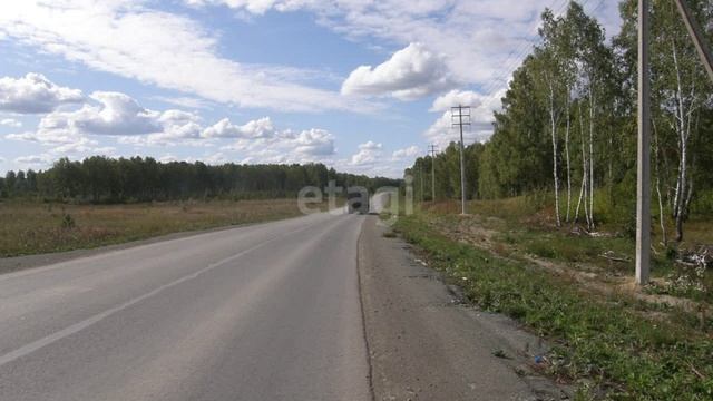 видео 24 смотреть онлайн