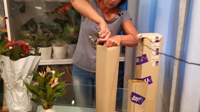 Две посылки с цветами, срок доставки 5 и 14 дней смотреть онлайн