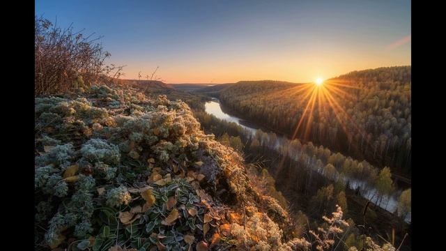 life смотреть онлайн