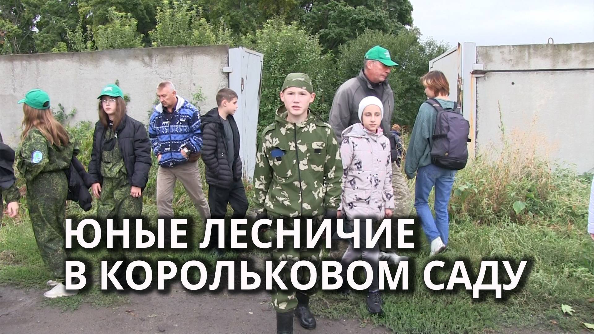 Школьники собрались на слет юных лесничих смотреть онлайн