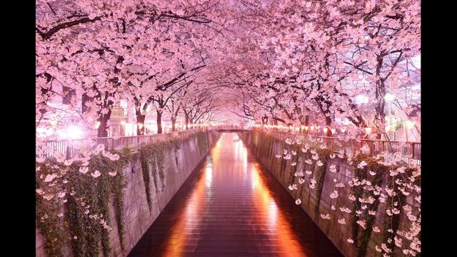 focus смотреть онлайн