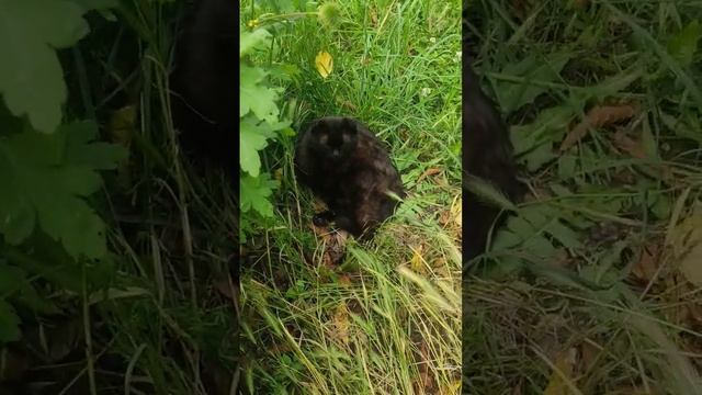 Кайфую @oksanaNEWLIFE смотреть онлайн