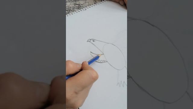 карандашный рисунок Орла смотреть онлайн