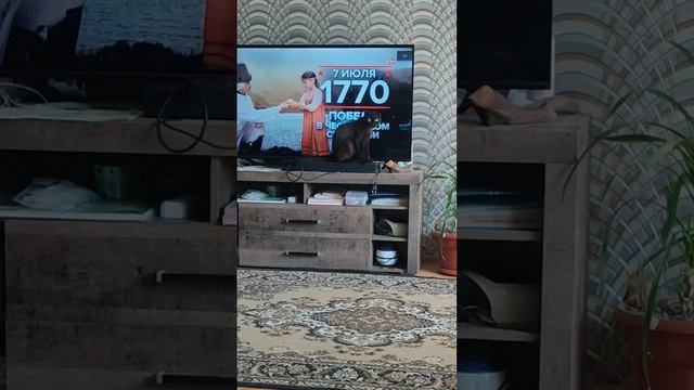 Звезда экрана @oksanaNEWLIFE смотреть онлайн