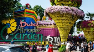 ПАРК ЦВЕТОВ в ДУБАЕ