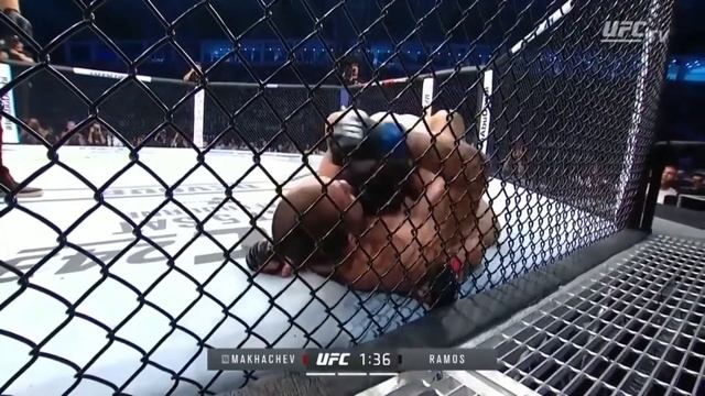 Islam Ramazanovich Makhachev-я самурай