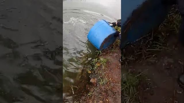 запуск смотреть онлайн