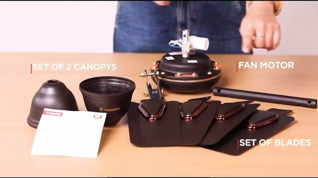 Candes Brio Turbo 600 mm /24 inch High Speed Ceiling Fan | High Air Delivery & Energy Saving | смотреть онлайн