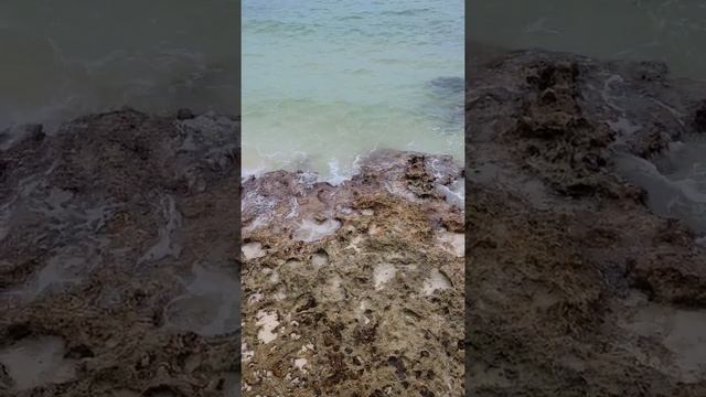 Cuba 🇨🇺 Cayo Guillermo Cayo Coco - The Caribbean Sea - Paradise - Grand Muthu Cayo Guillermo смотреть онлайн