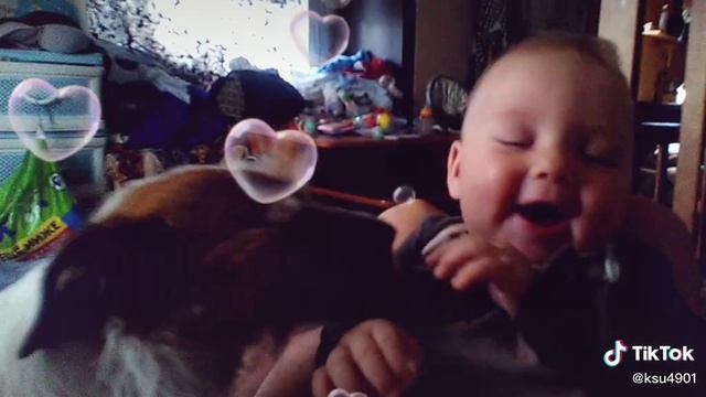 5624.mp4 смотреть онлайн