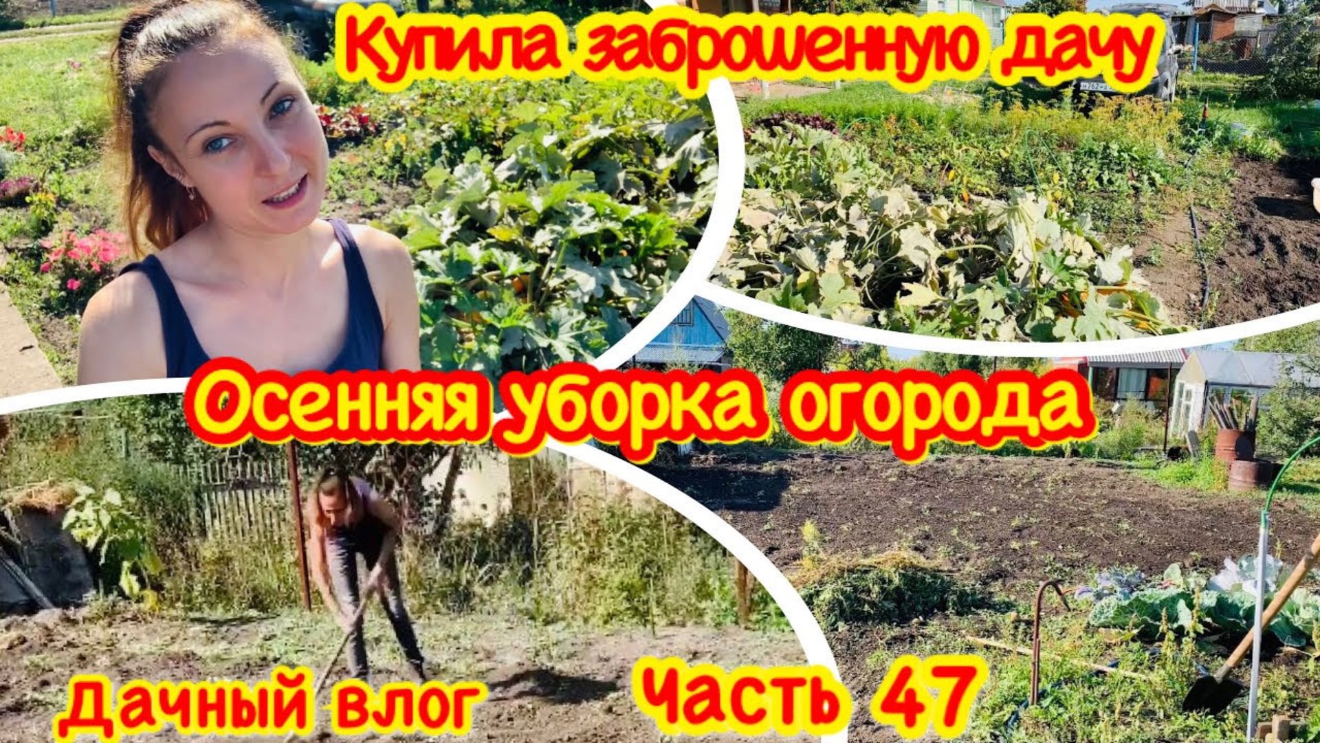 КУПИЛА ЗАБРОШЕННУЮ ДАЧУ/ОСЕННЯЯ УБОРКА ОГОРОДА/ДАЧА ОСЕНЬЮ/ПРЕОБРАЖЕНИЕ ЗАРОСШЕЙ ДАЧИ ОСЕНЬЮ/