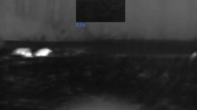 Första vildsvinet skjutet med mitt Pulsar Talion Xq35 pro. смотреть онлайн
