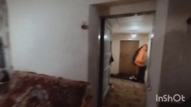 11614434 смотреть онлайн
