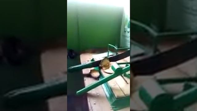 Machine d'extraction de jus et d'amende de coco смотреть онлайн