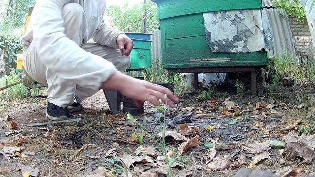 Розжиг дымаря смотреть онлайн