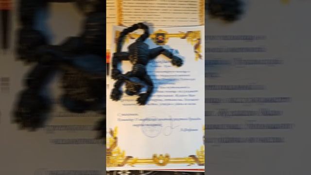 #Мая_Лето, Грамоты Админам канала Кот Костян смотреть онлайн