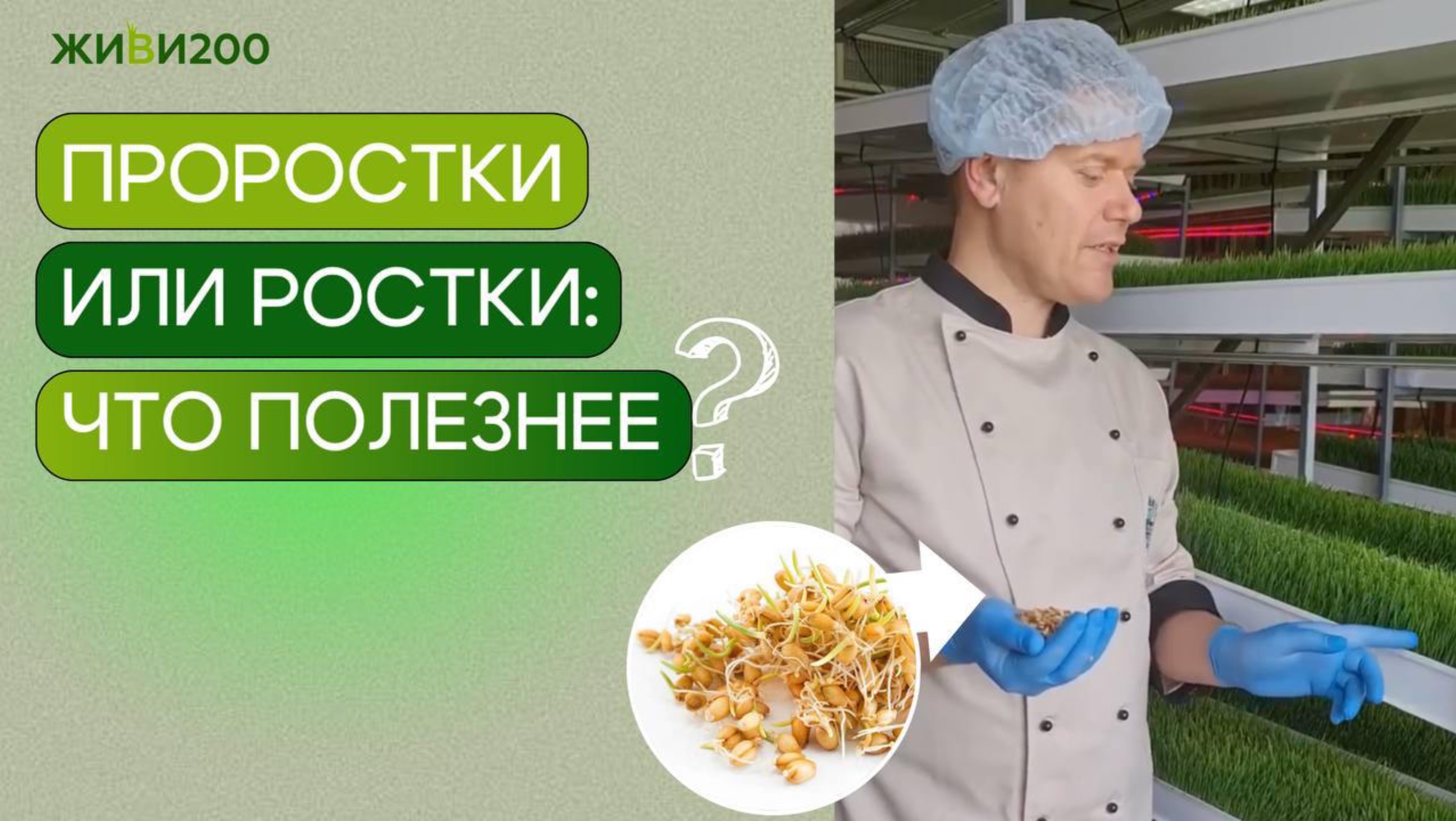 #проростки или #ростки - что полезнее?