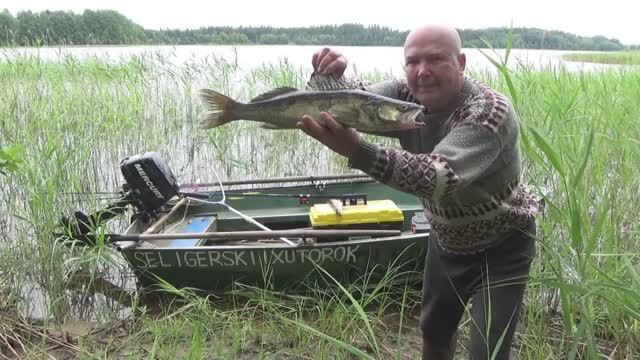 Троллинг 2024.Ловим вот таких судаков у церкви ,на Бога надейся- но сам не плошай.