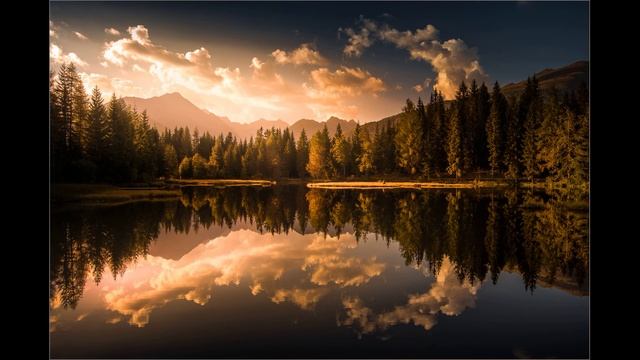 Roa-Traveler смотреть онлайн