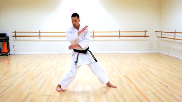 10 Ката Энпи (полное руководство)