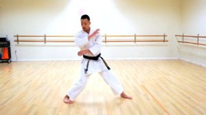 10 Ката Энпи (полное руководство)