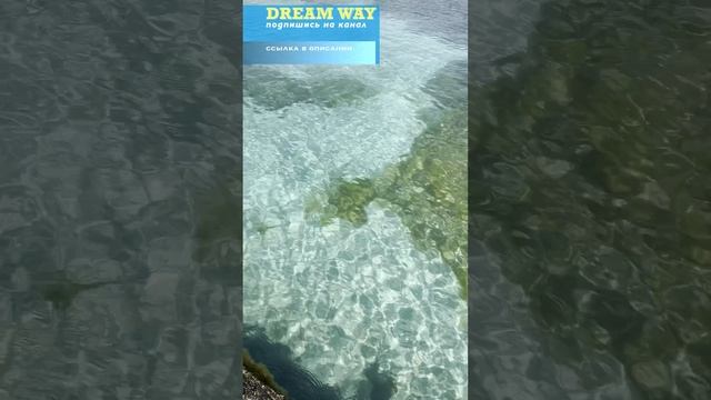 Это Казахтан, да #dreamway #путешествие #travel #отдых #туризм #shortsvideo #shorts #Казахстан смотреть онлайн