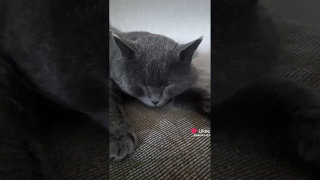 Всем отличных выходных смотреть онлайн