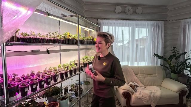 НОЯБРЬ-МЕСЯЦ ОТДЫХА ИЛИ НАОБОРТ? смотреть онлайн