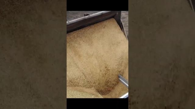 Эффективное сельское хозяйство России