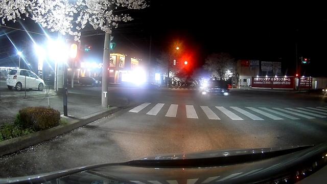 美しすぎる桜並木見て来た。夜編 смотреть онлайн