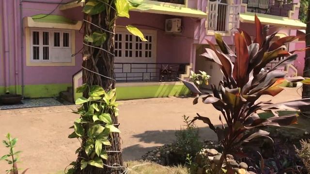 Renton Manor, Северный Гоа, Арпора. Обзор отеля. смотреть онлайн