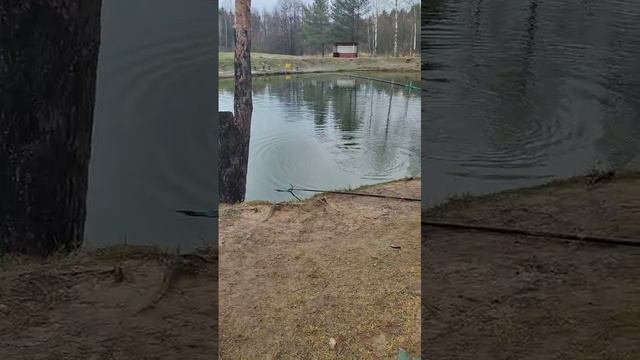 поимка смотреть онлайн