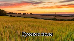 Русское поле
