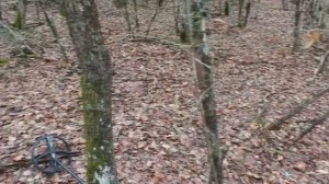 Коп в Крыму 2023 / Античные и Римские монеты / нашли стоянку периода Крымской войны